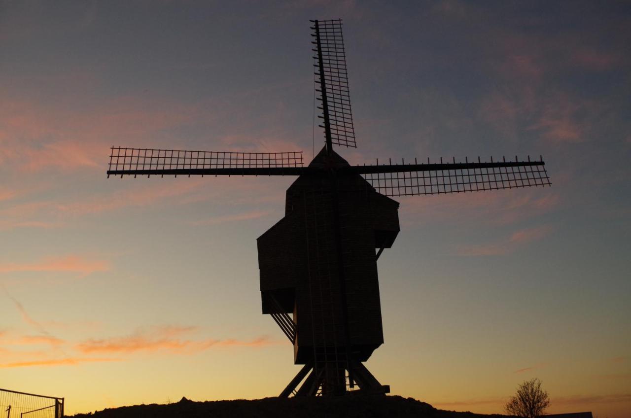 Eco-Gite Au Natur'Ailes Des Collines Tournai Exterior foto