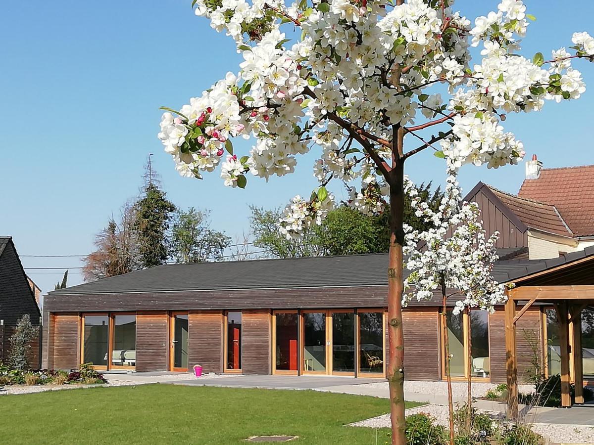 Eco-Gite Au Natur'Ailes Des Collines Tournai Exterior foto