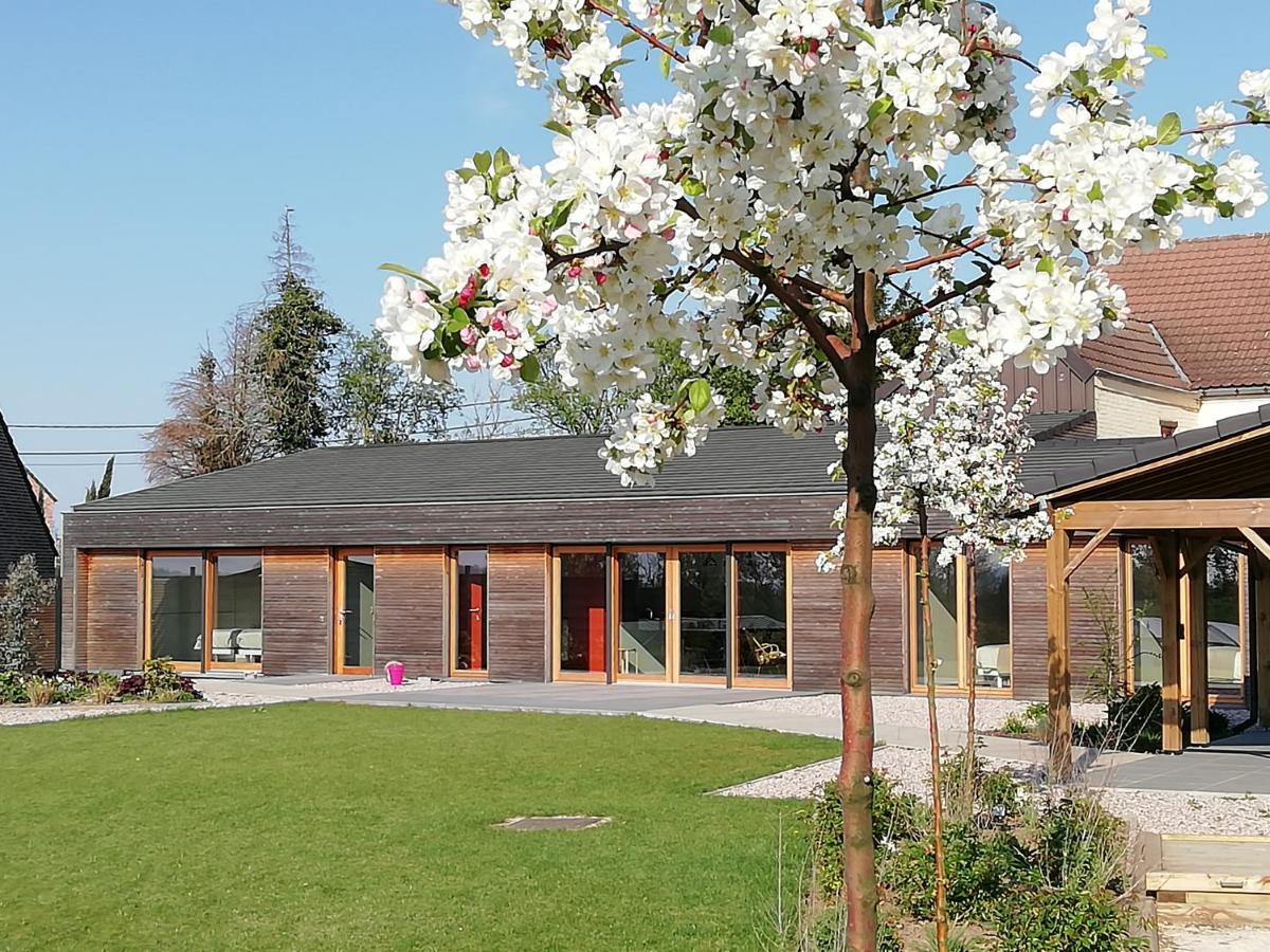 Eco-Gite Au Natur'Ailes Des Collines Tournai Exterior foto