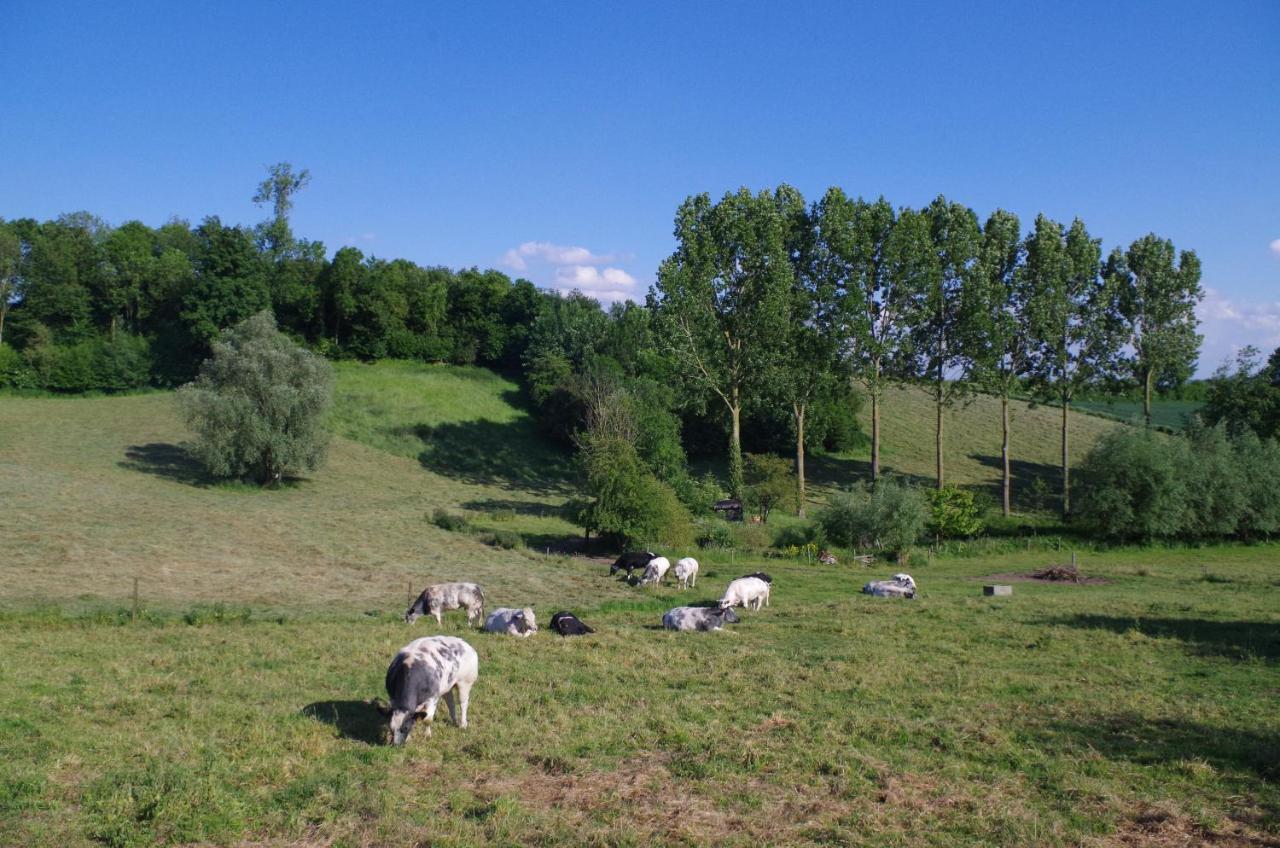 Eco-Gite Au Natur'Ailes Des Collines Tournai Exterior foto